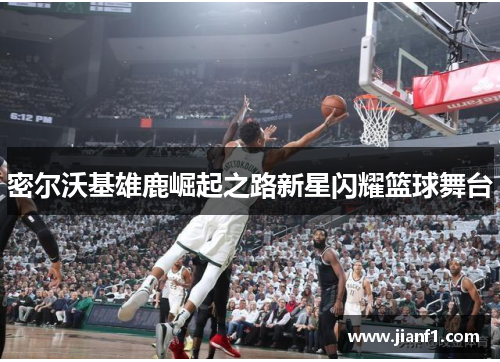 密尔沃基雄鹿崛起之路新星闪耀篮球舞台
